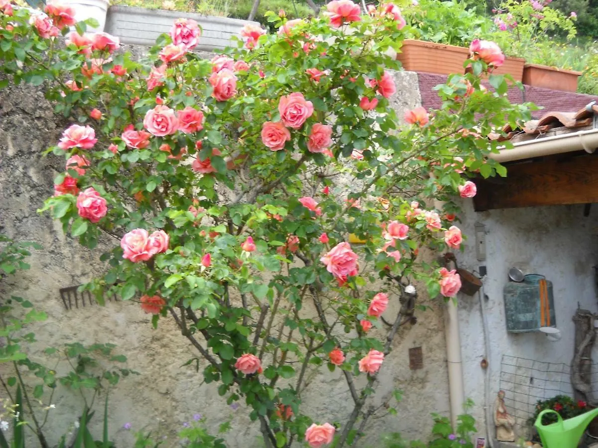 Homestay Chambre D'Hotes La Tarentelle Breil-sur-Roya